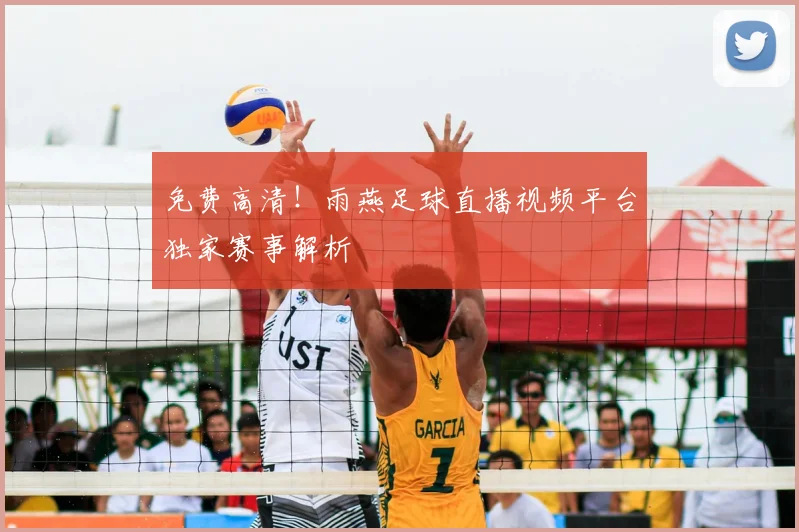 免费高清！雨燕足球直播视频平台独家赛事解析