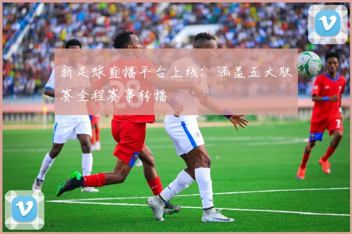 新足球直播平台上线：涵盖五大联赛全程赛事转播