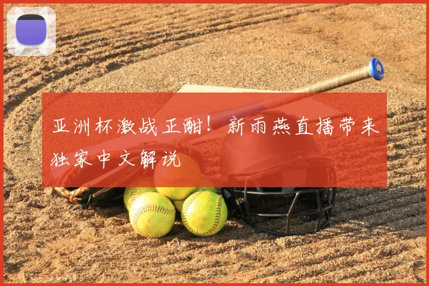 亚洲杯激战正酣！新雨燕直播带来独家中文解说